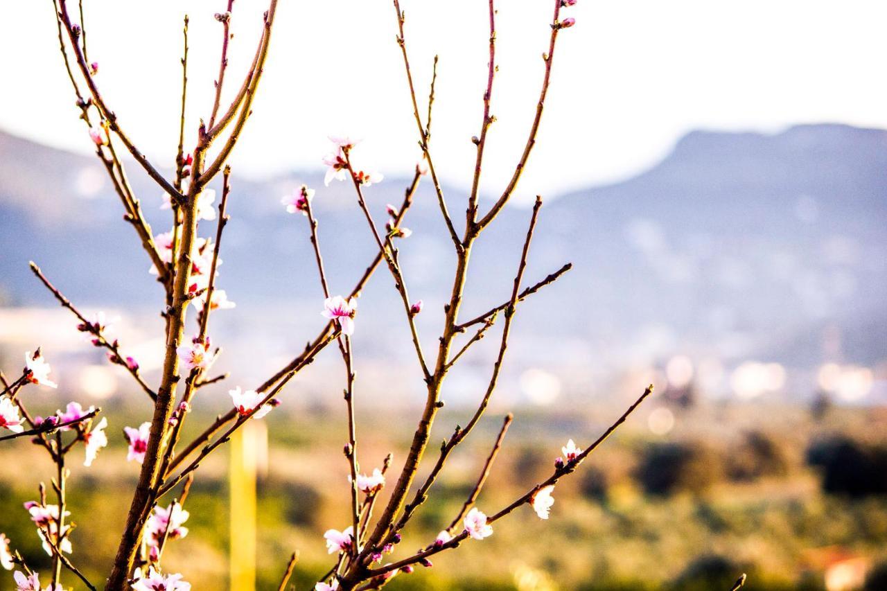 Nafplio Topview Apartman Kültér fotó